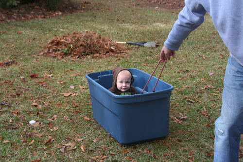 pulled in a plastic bin