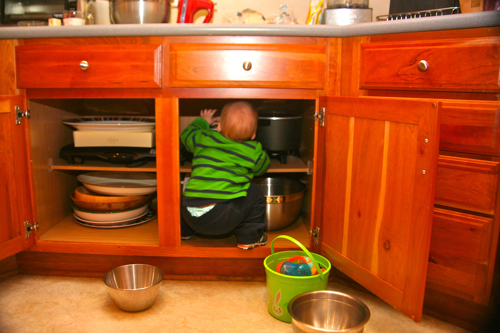 in the cabinet